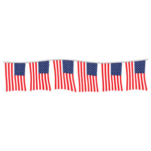 479121_American-Flag-Pennants_Polyethylene_P-WEB