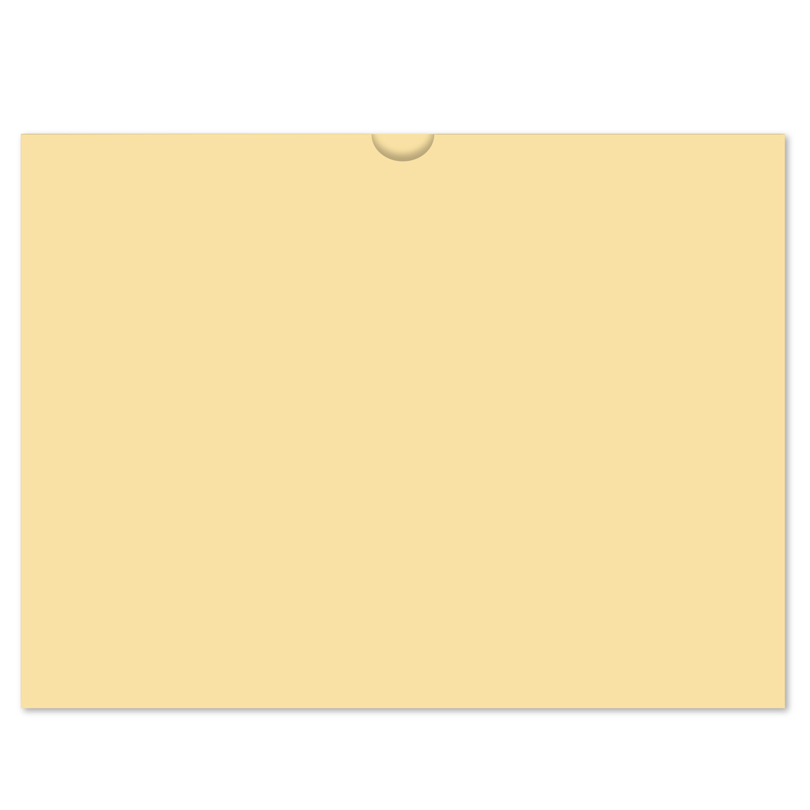 521_Vehicle-Deal-Envelopes-Plain_Form-DSA-500_Buff-1_P-WEB