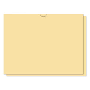 521_Vehicle-Deal-Envelopes-Plain_Form-DSA-500_Buff-2_P-WEB