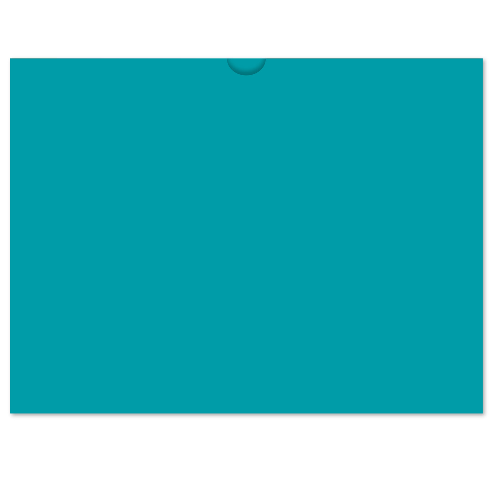 5220_Vehicle-Deal-Envelopes-Plain_Form-DSA-500_Teal_P-WEB