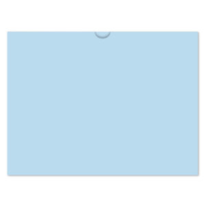522_Vehicle-Deal-Envelopes-Plain_Form-DSA-500_Blue_P-WEB