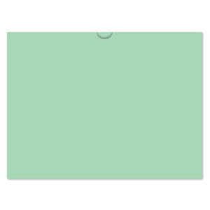523_Vehicle-Deal-Envelopes-Plain_Form-DSA-500_Green_P-WEB
