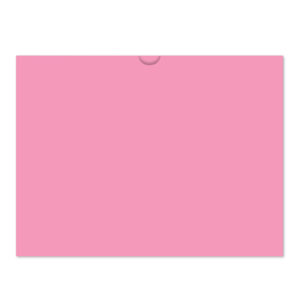 524_Vehicle-Deal-Envelopes-Plain_Form-DSA-500_Pink_P-WEB