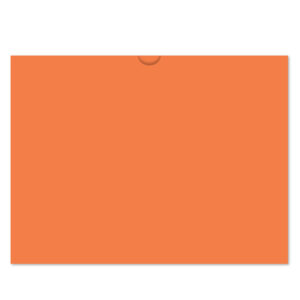 527_Vehicle-Deal-Envelopes-Plain_Form-DSA-500_Salmon_P-WEB