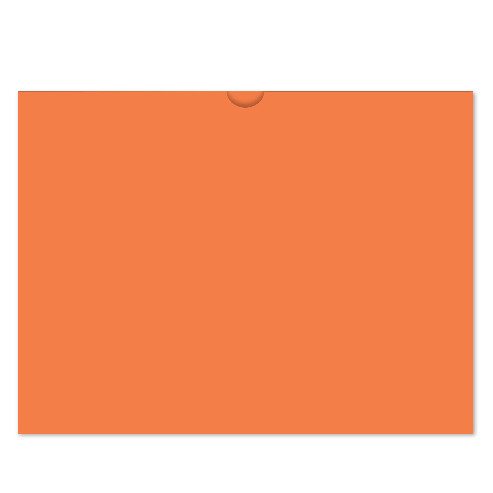 527_Vehicle-Deal-Envelopes-Plain_Form-DSA-500_Salmon_P-WEB