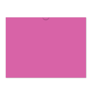 528_Vehicle-Deal-Envelopes-Plain_Form-DSA-500_Fuchsia_P-WEB