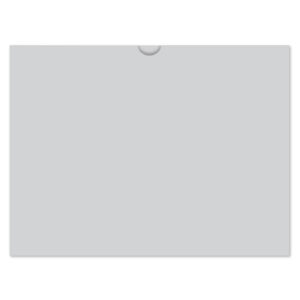529_Vehicle-Deal-Envelopes-Plain_Form-DSA-500_Gray_P-WEB