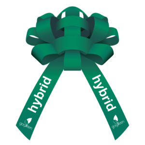 56284-IMP_Shiny-Vinyl-Car-Bow_Green_Custom-03_P-WEB