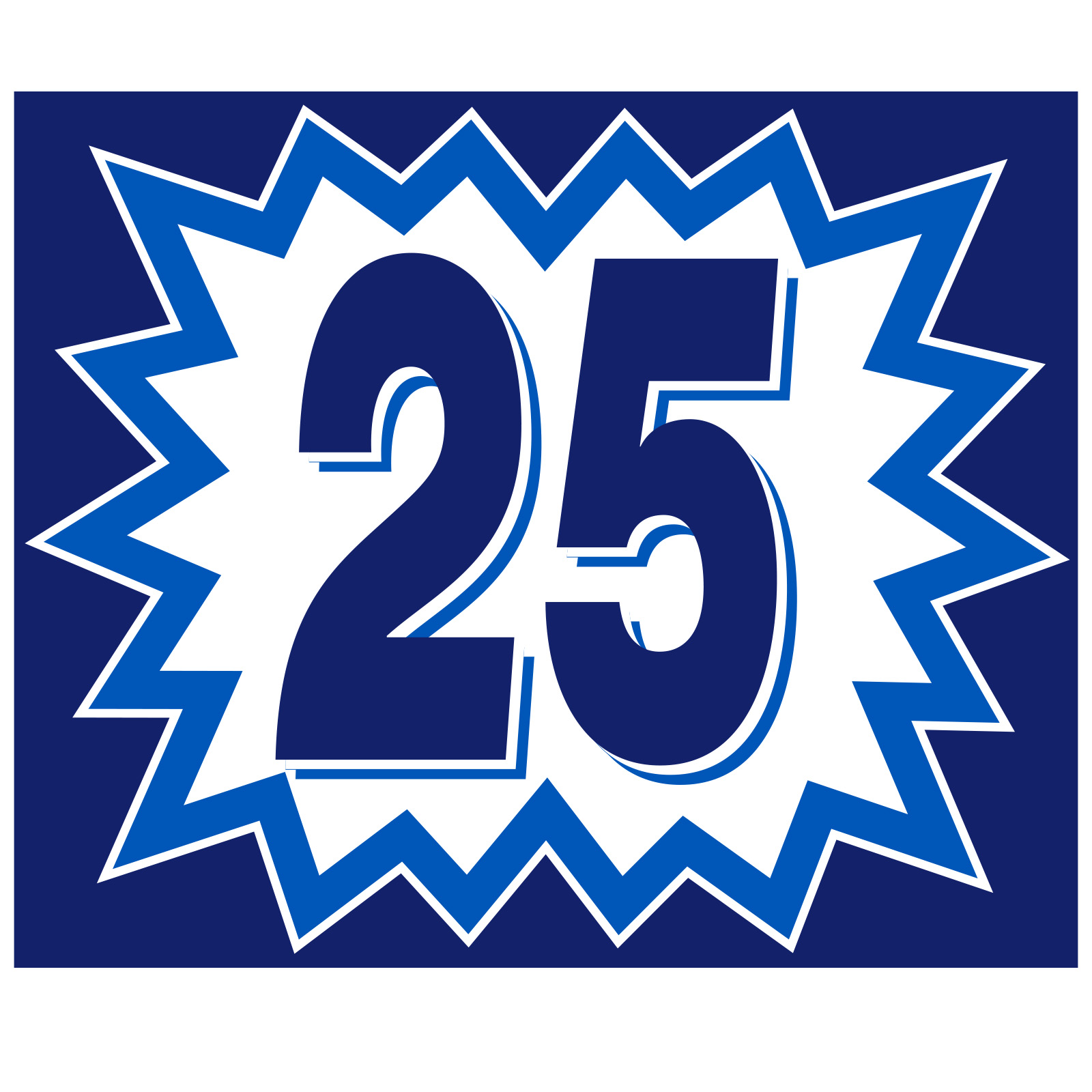 58380-25_Vinyl-Blast-Year-Stickers_Blue-and-White-2025_P-WEB