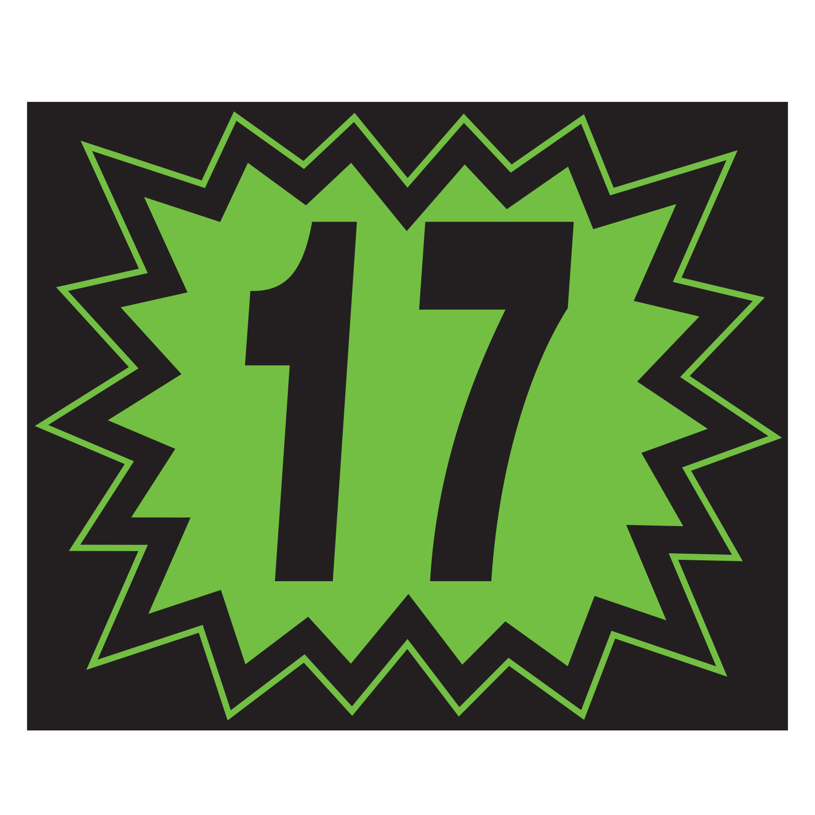 58381-17_Vinyl-Blast-Year-Stickers_Green-and-Black-2017_P-WEB