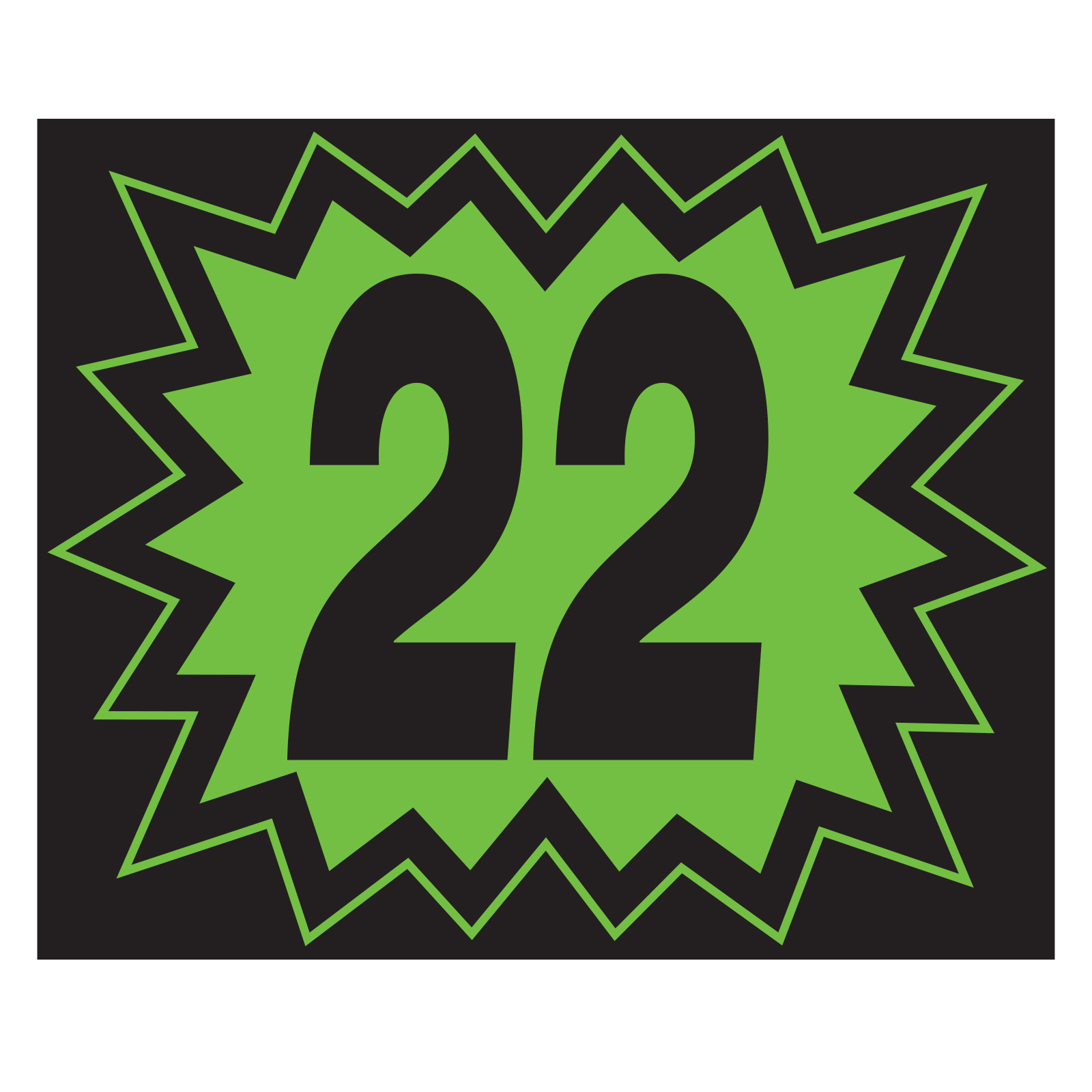58381-22_Vinyl-Blast-Year-Stickers_Green-and-Black-2022_P-WEB