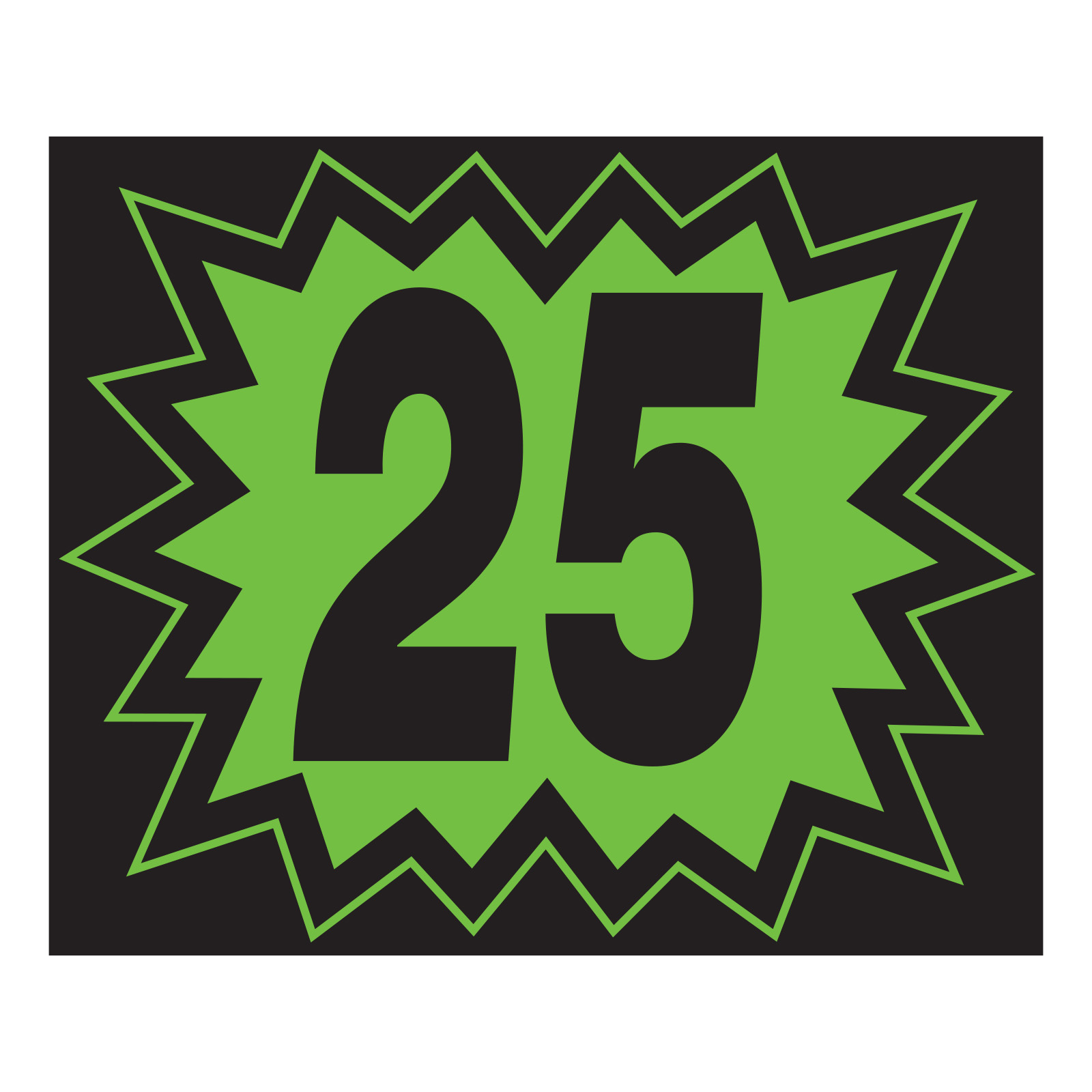 58381-25_Vinyl-Blast-Year-Stickers_Green-and-Black-2025_P-WEB