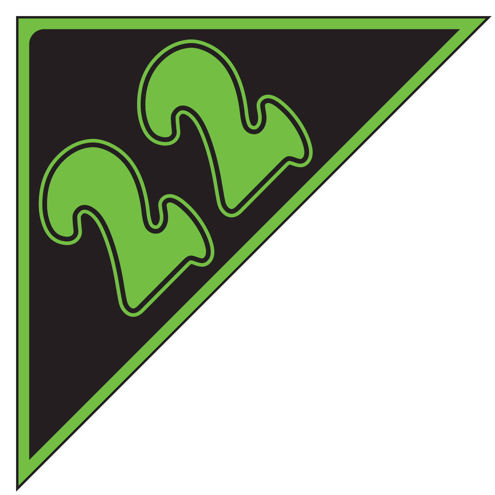5855-22_Angle-Year-Stickers-Green-on-Black-22_P-WEB
