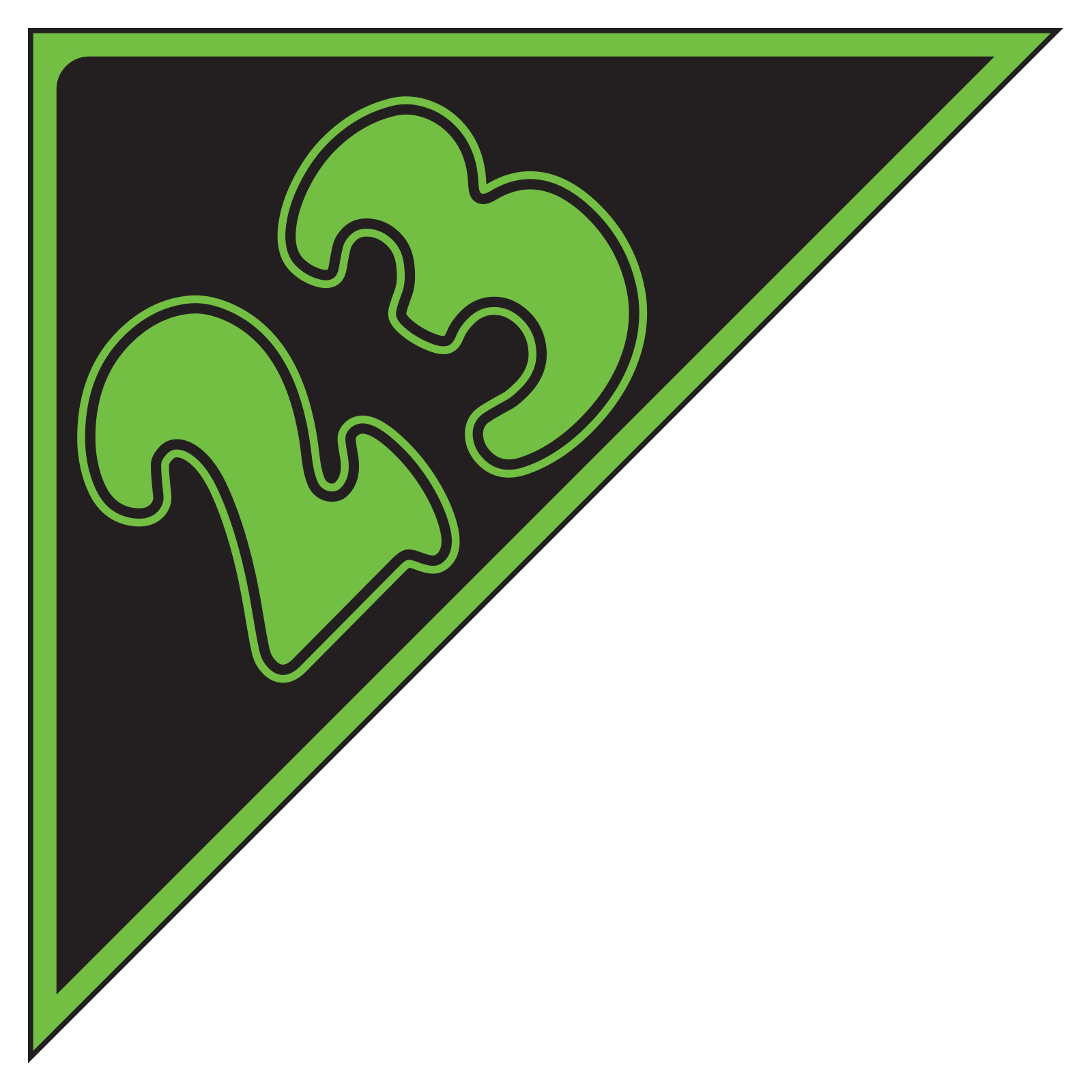 5855-23_Angle-Year-Stickers-Green-on-Black-23_P-WEB