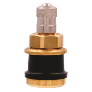 Valve Stems & Caps - 1-1/8"