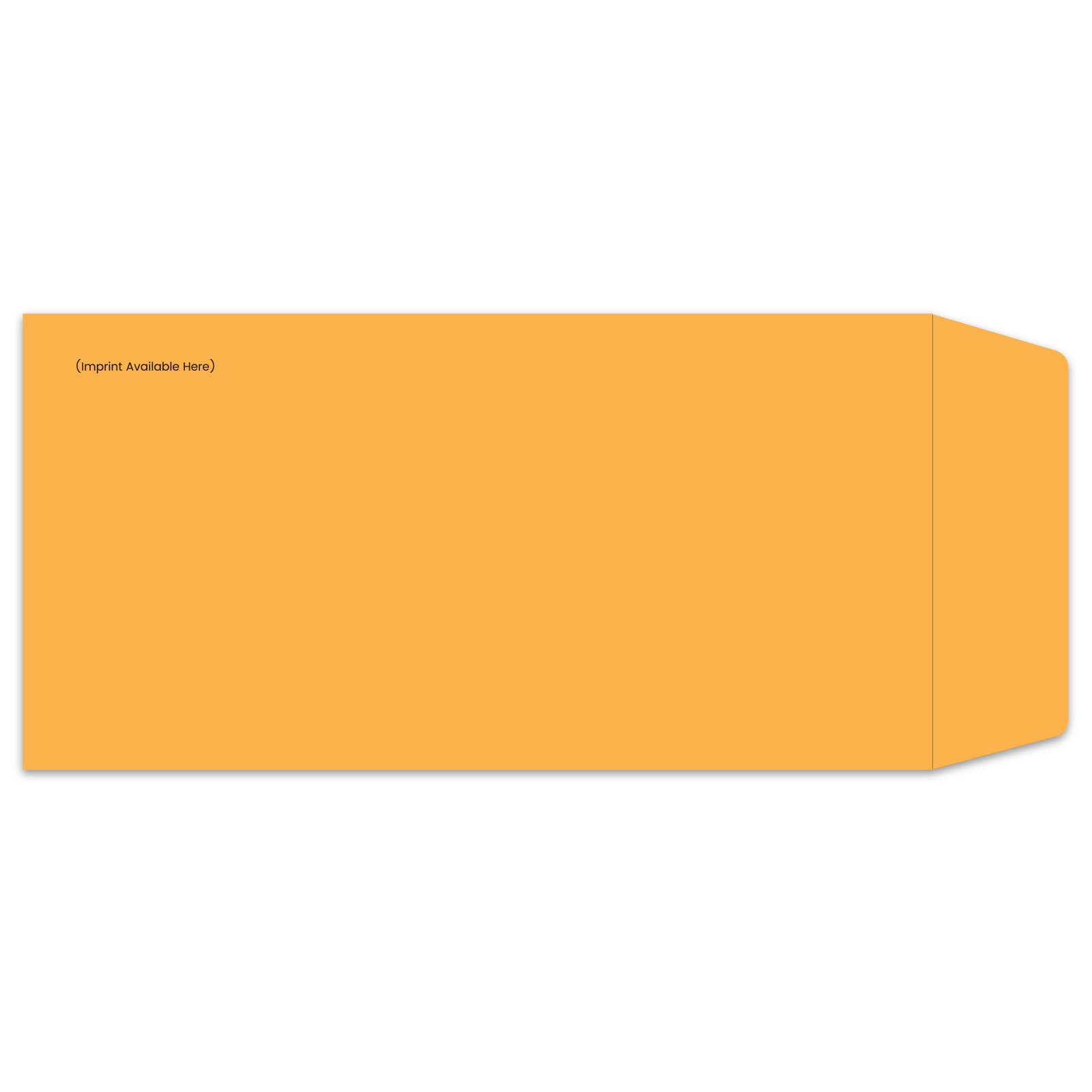 831-IMP_License-Plate-Envelopes_Moist-and-Seal_Custom-00_P-WEB