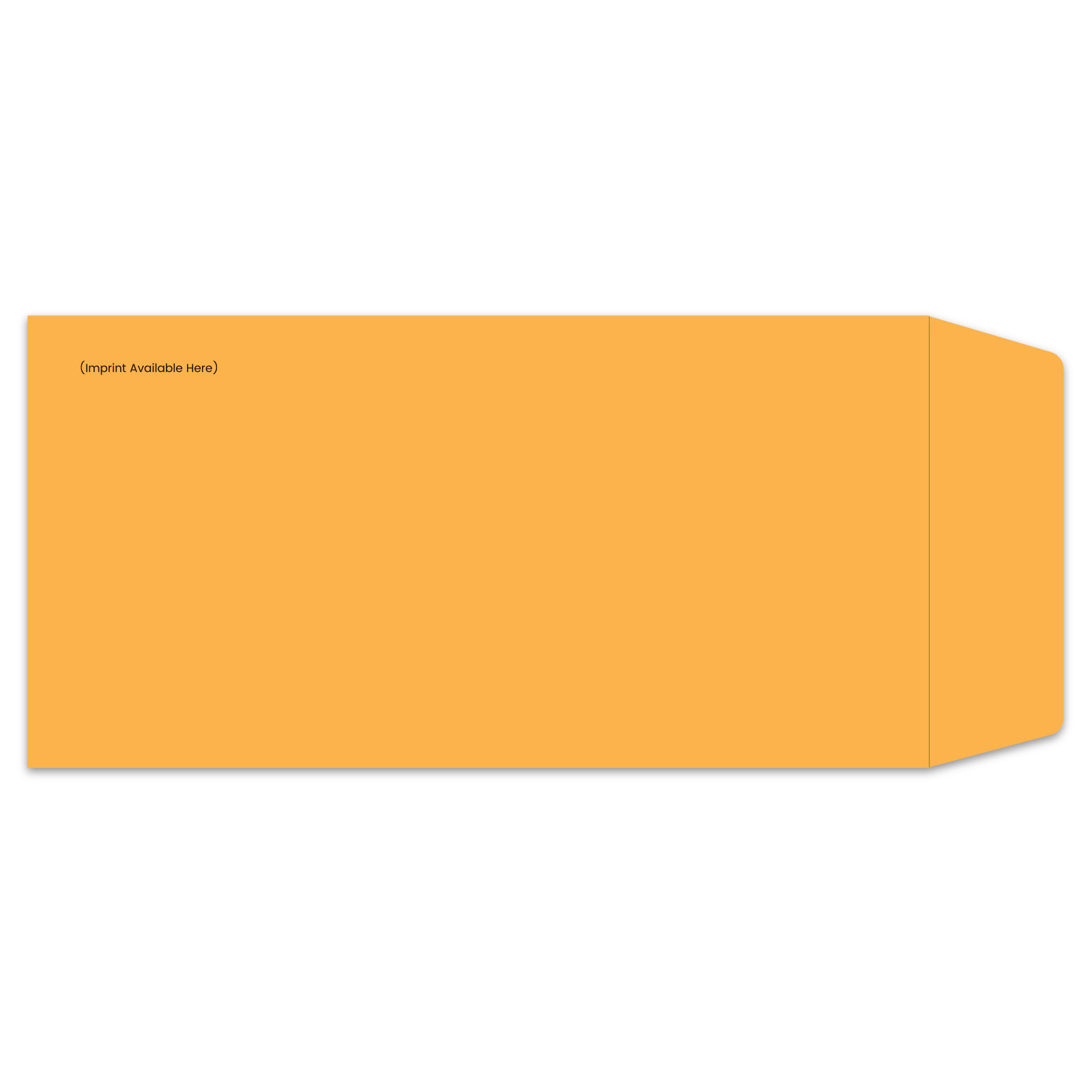 832-IMP_License-Plate-Envelopes_Self-Seal_Custom-00_P-WEB